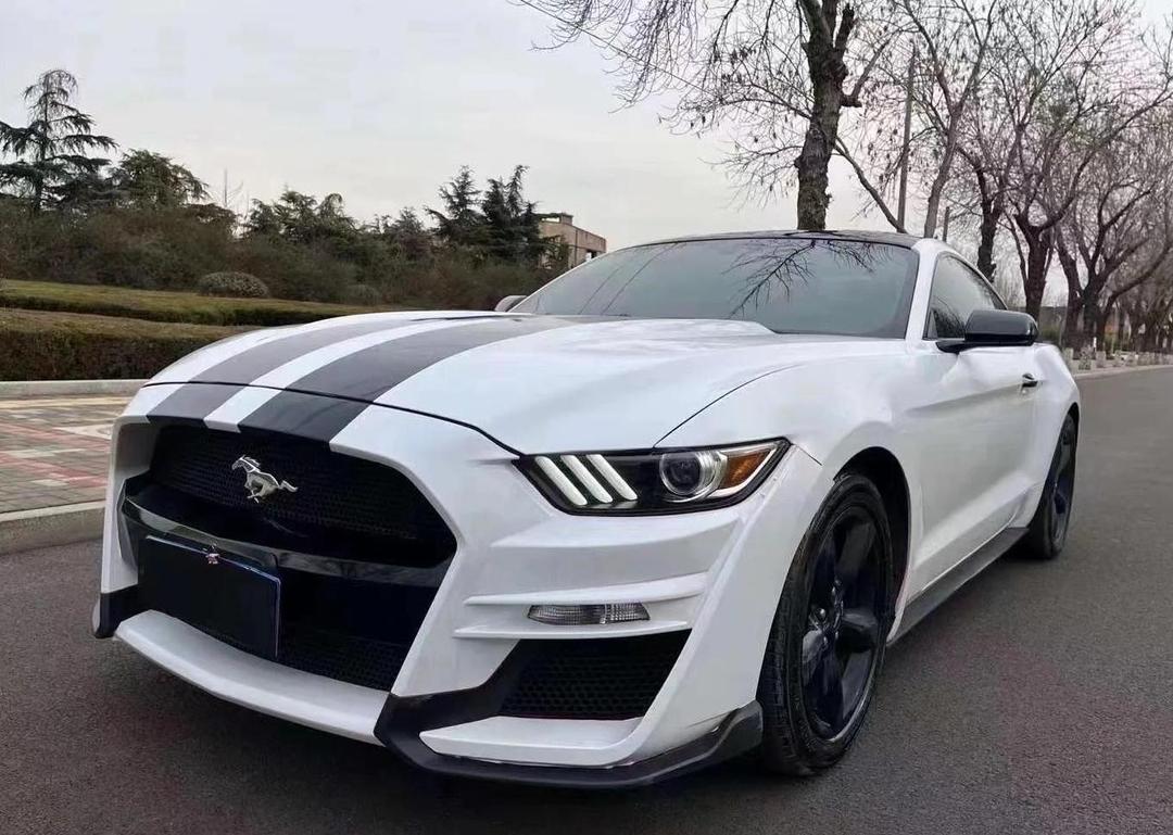 成都野马加版钜惠17万元 欢迎前来试驾