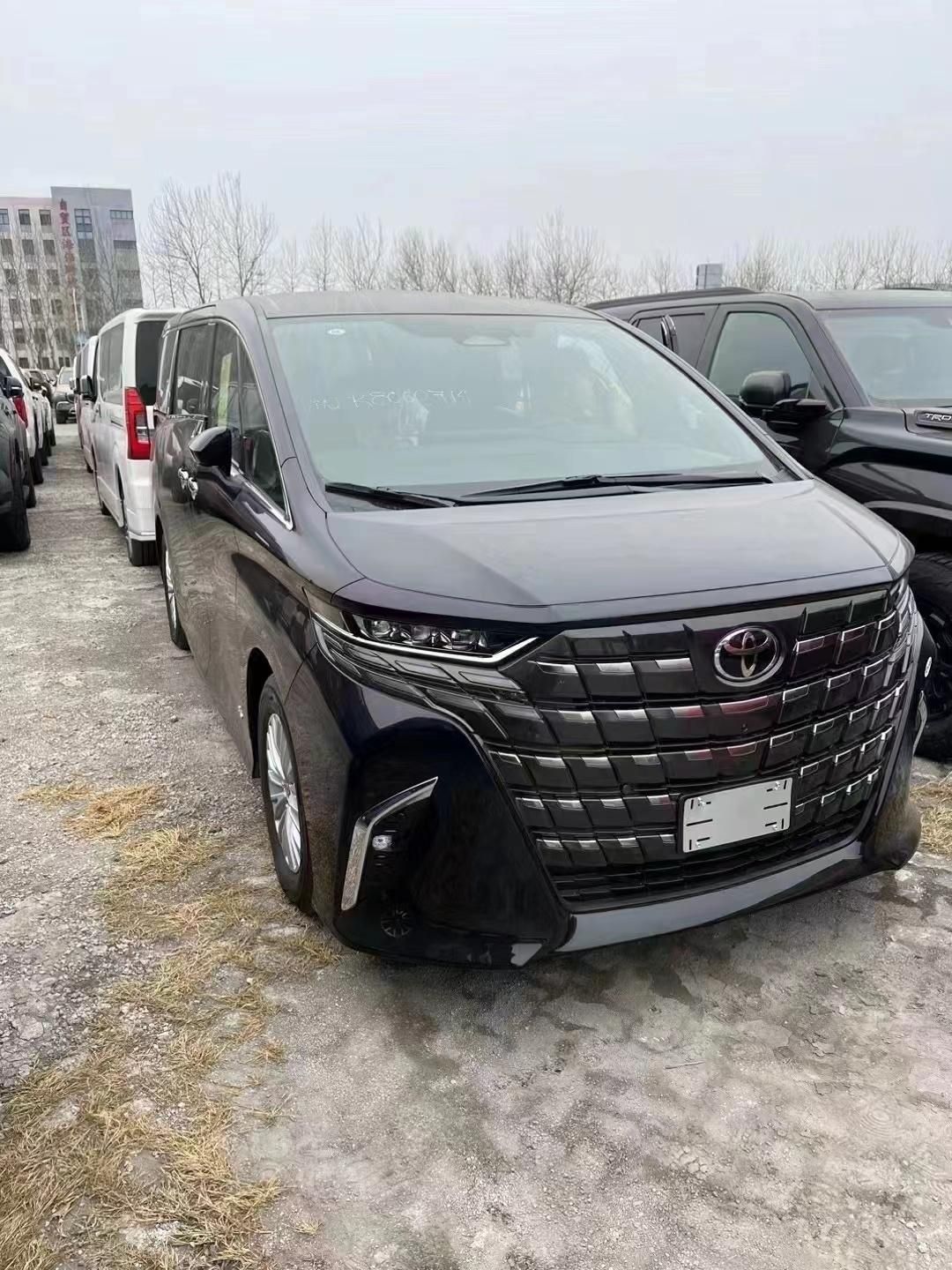 进口埃尔法商务车现车可售