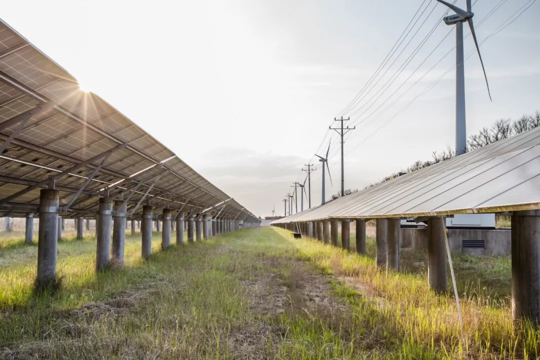 特斯拉拟选址纽约、亚利桑那及爱达荷州 提升太阳能电池产能